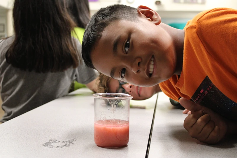 Extracting DNA from strawberries is always a popular activity