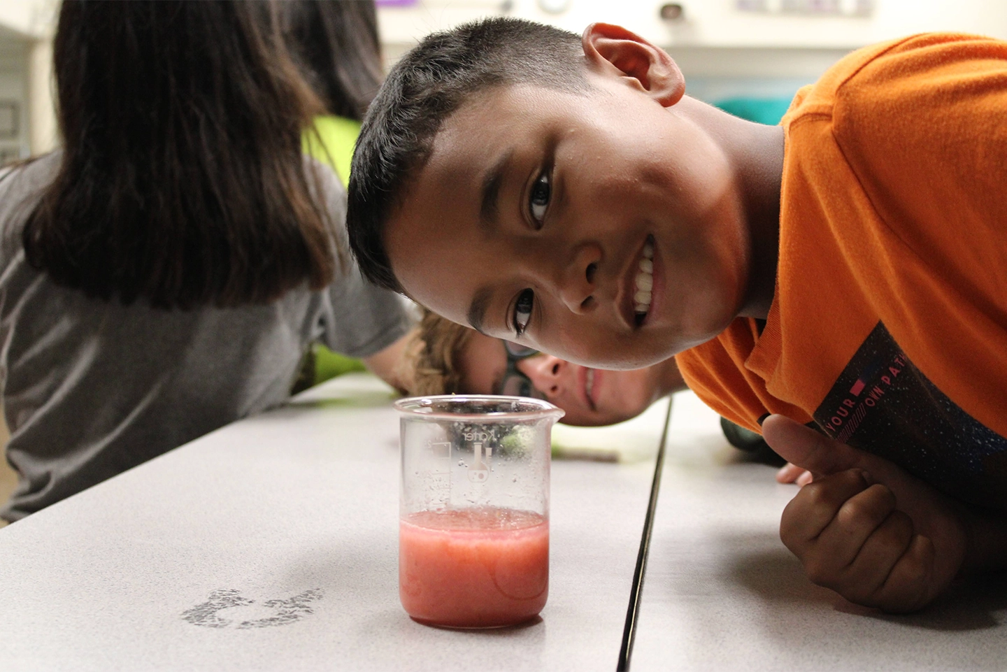 Extracting DNA From strawberries