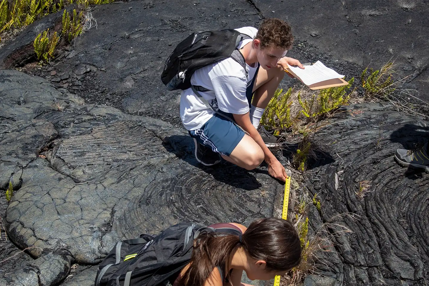 Examining fossil tree molds in the lava flows