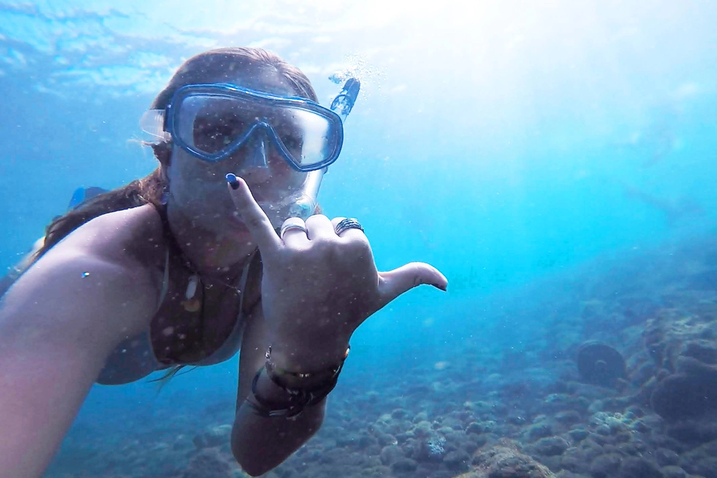 Ocean study up-close and personal